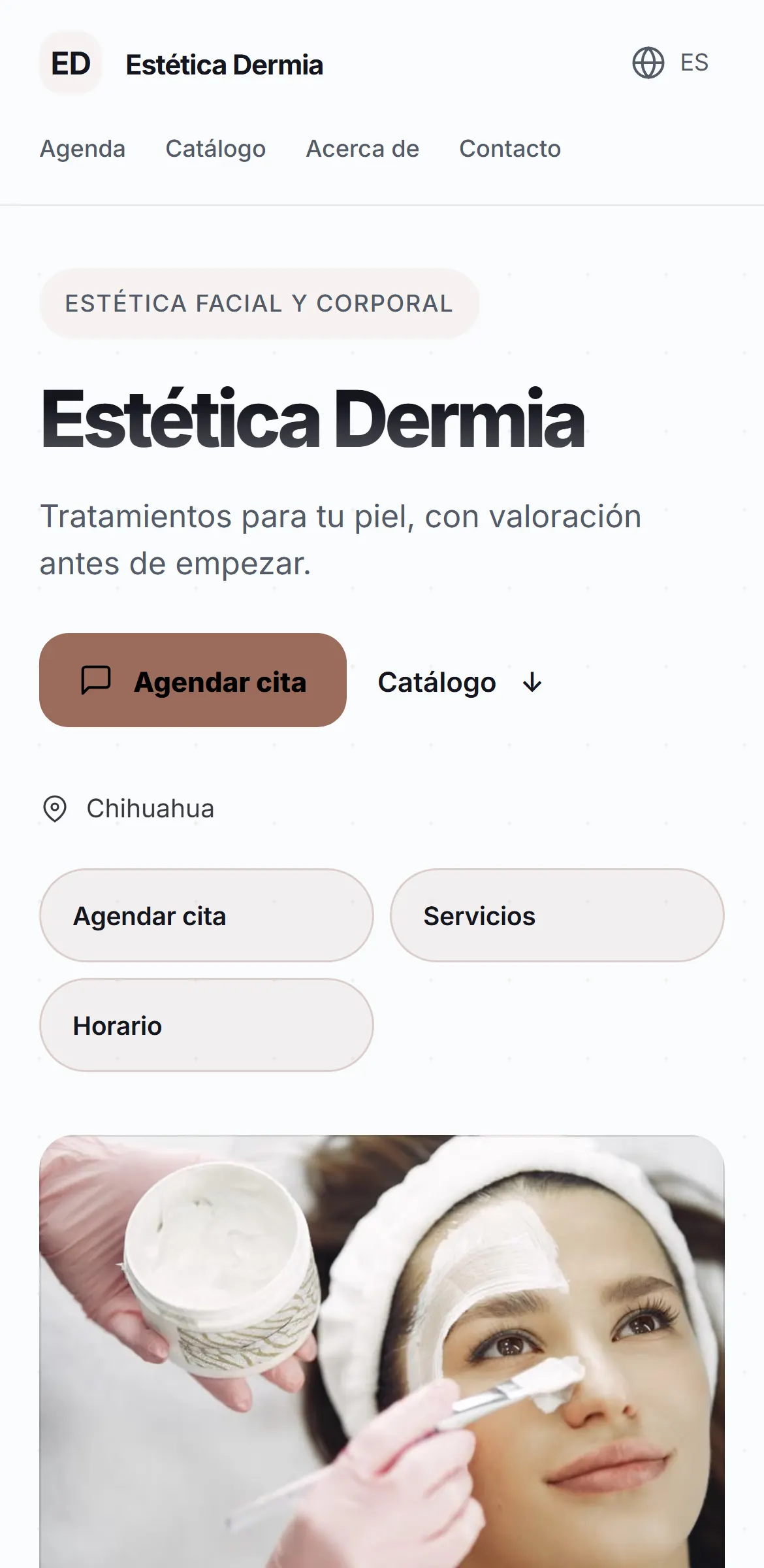Captura del sitio