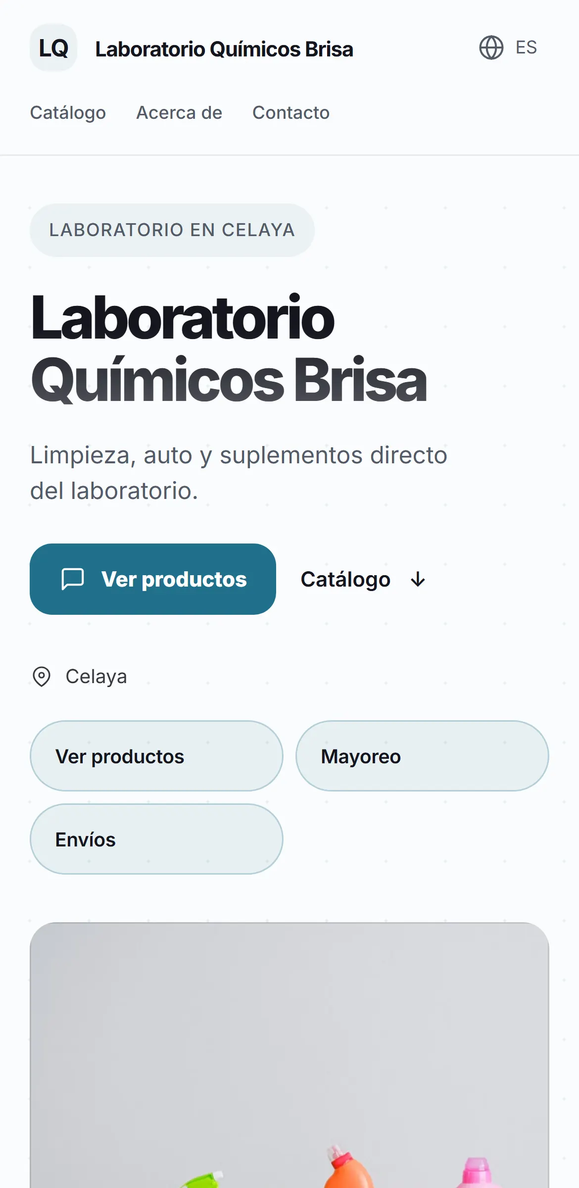 Captura del sitio