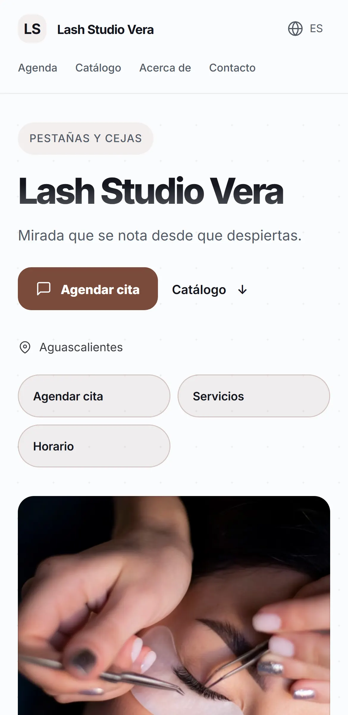 Captura del sitio