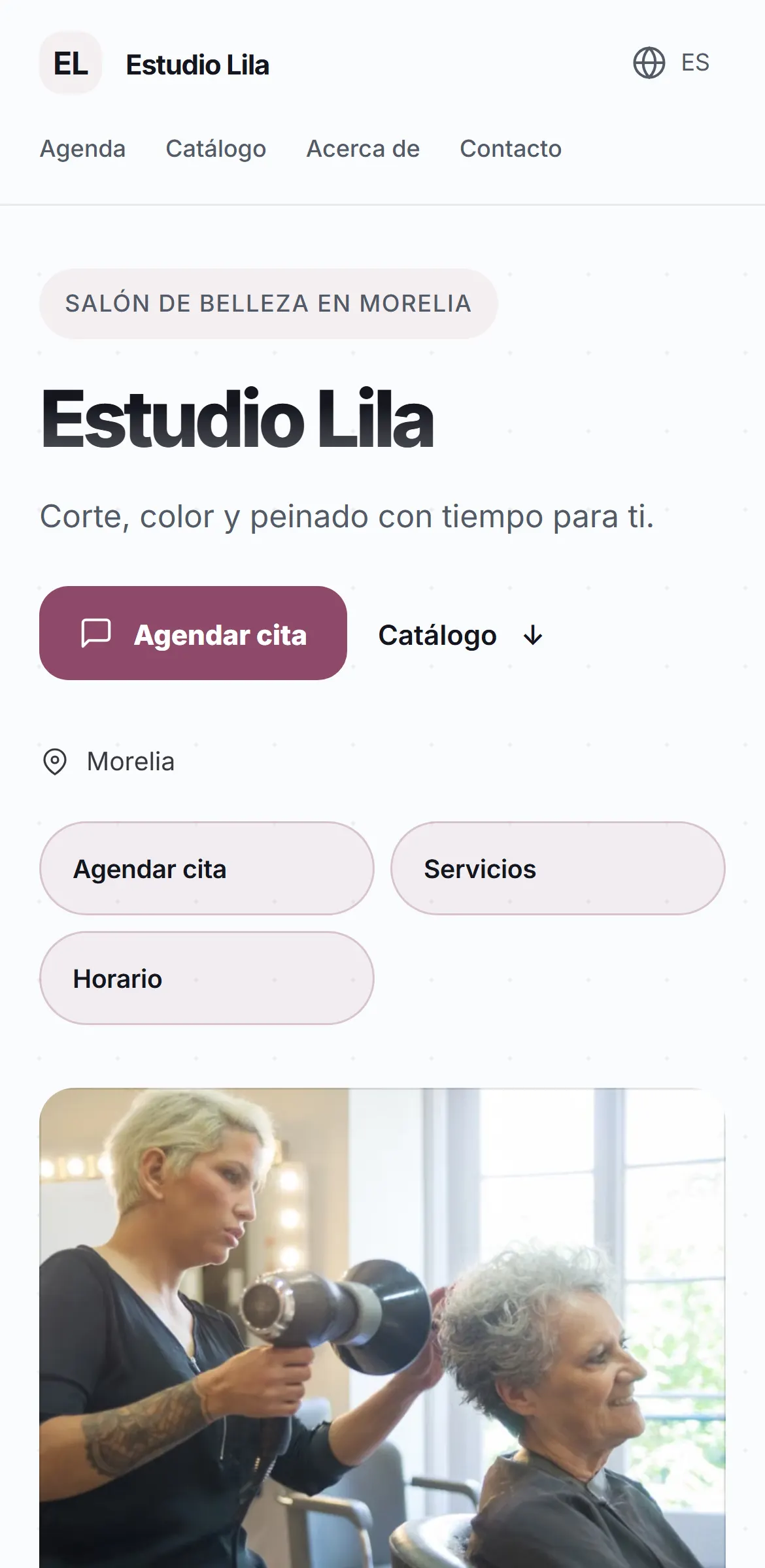 Captura del sitio