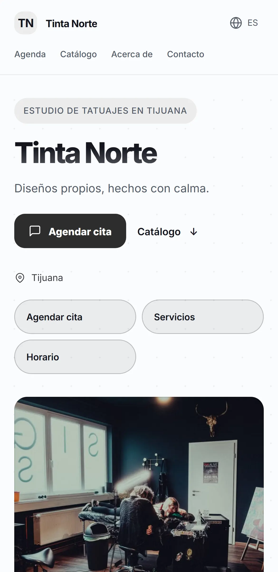 Captura del sitio