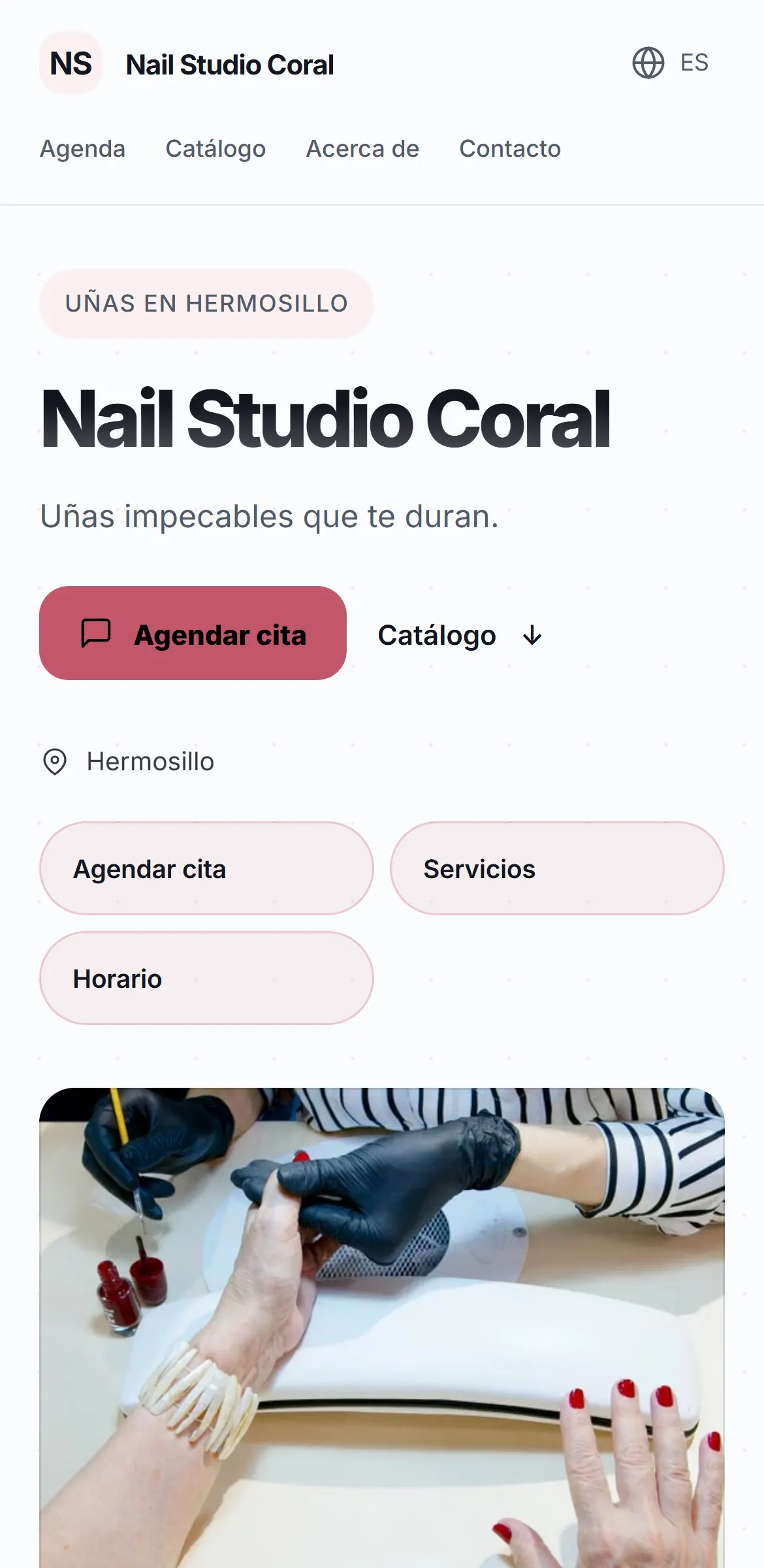 Captura del sitio