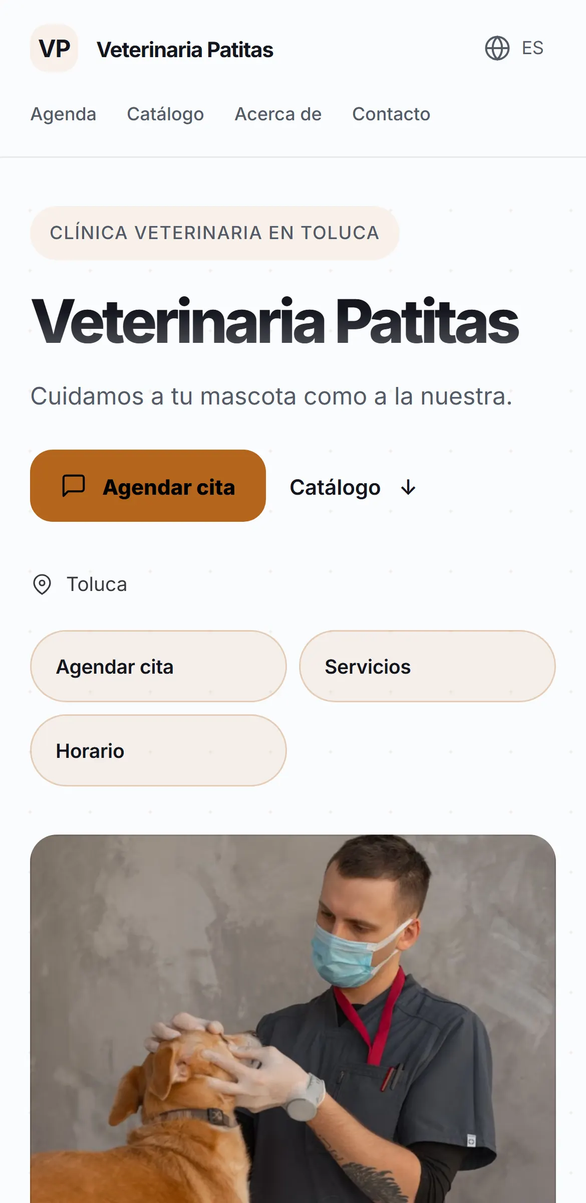 Captura del sitio